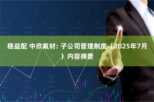 稳益配 中欣氟材: 子公司管理制度（2025年7月）内容摘要